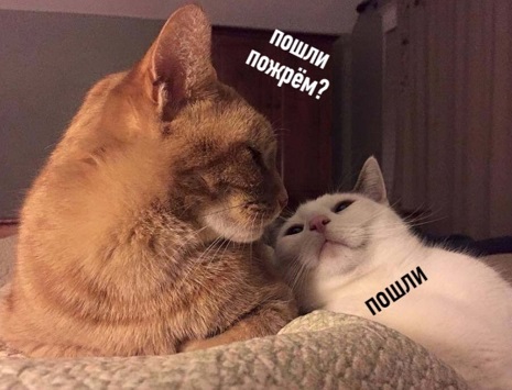 Как понять, что ваши друзья - алкоголики?