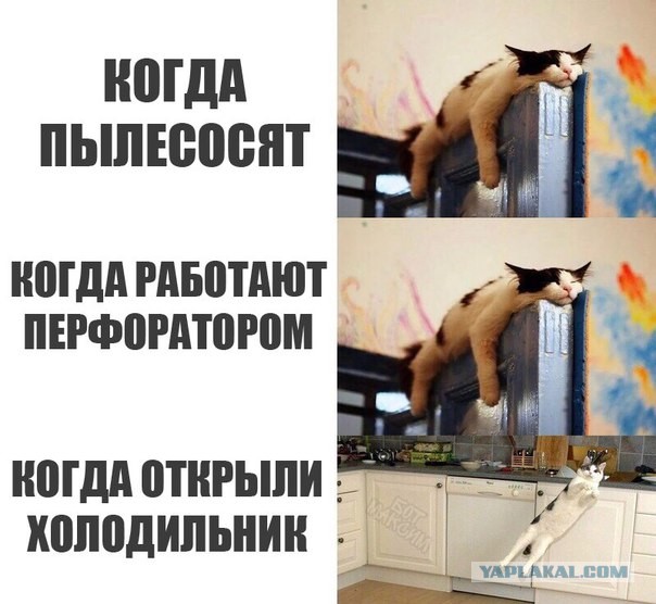 Древнейшие баяны