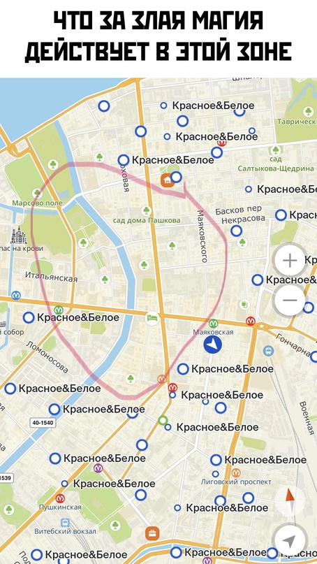 Весёлый полтишок 05.05.24