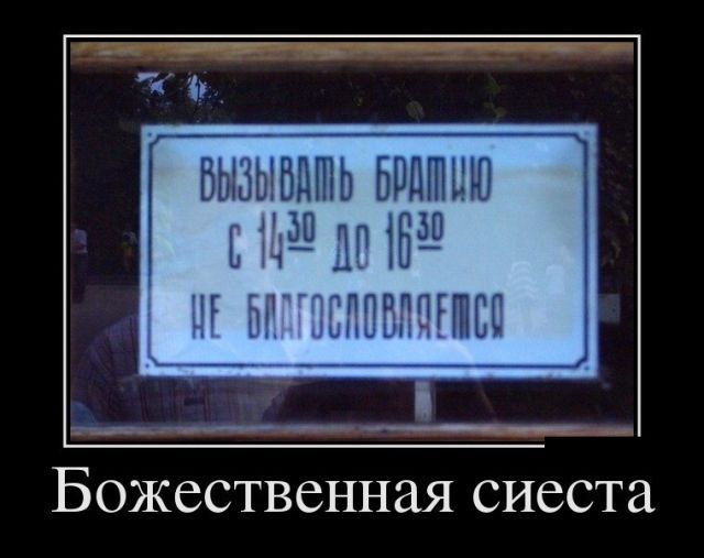 Злостная нарушительница