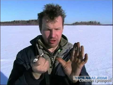 Полезное видео о выживании в лесу