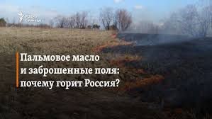 Стоимость полезных ископаемых на Украине.