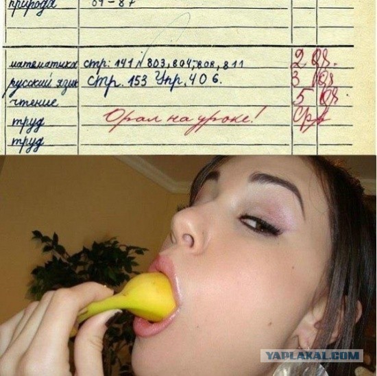 Забавные школьные дневники