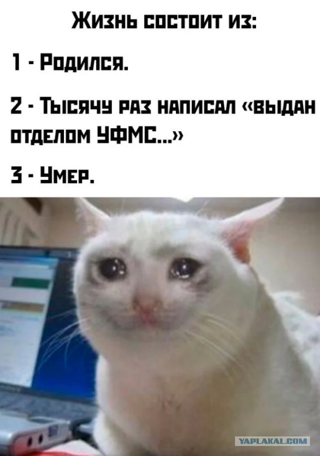 Занятные картинки с надписями и шашлыки на майские