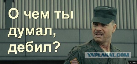 В Бразилии львица убила молодого человека, проникшего в ее вольер в зоопарке