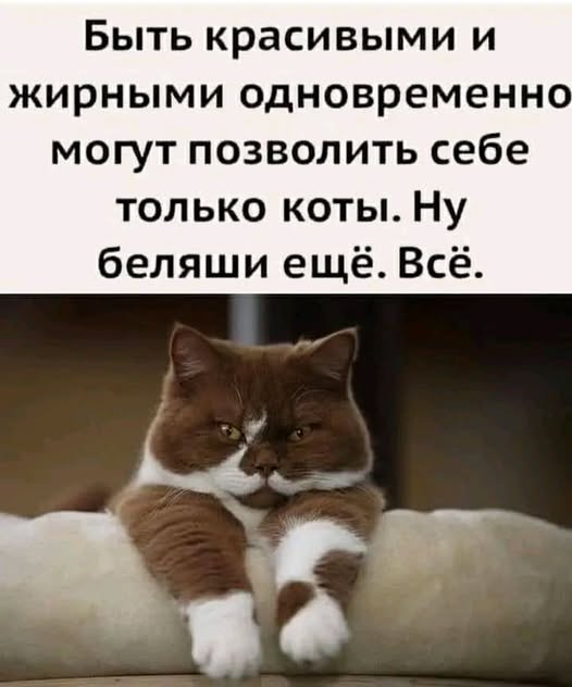 Картинки для деградации 136 (разной степени свежести