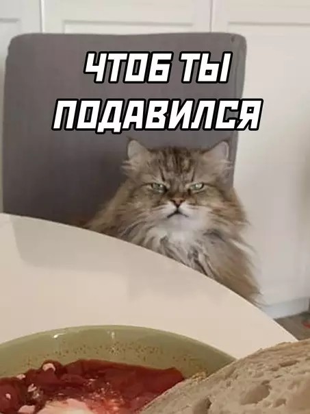 Дайвер наблюдает как акула кружит вокруг клетки с ним