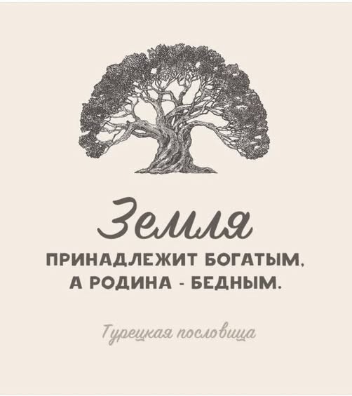 Картинки для деградации 205 (разной степени свежести)