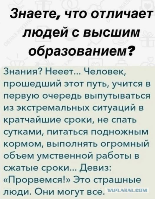Картинки для деградации 245 (разной степени свежести)