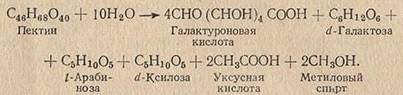 Кальвадос, начало положено