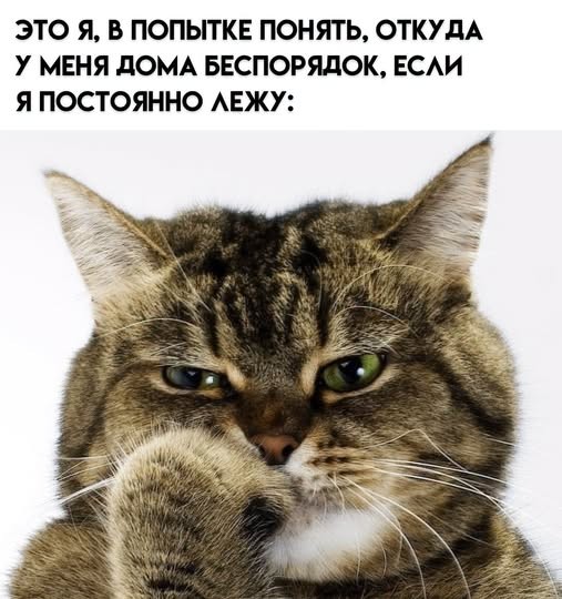 Картинки для деградации 302 (разной степени свежести)
