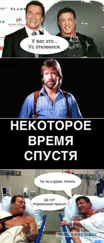 Смешные комментарии из социальных сетей #2