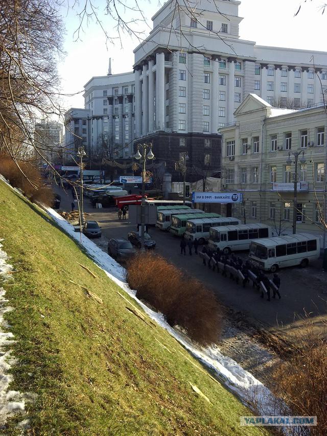 "Георгиевские " ленточки против флагов УПА