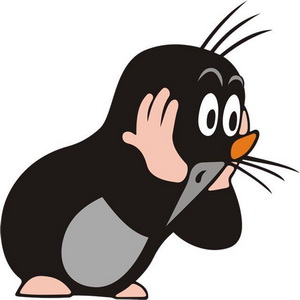 А что ,если бы голуби были такими?