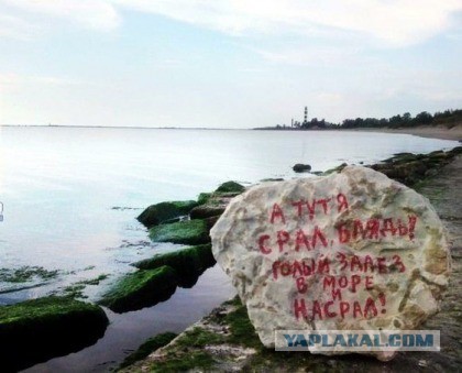 Смешные картинки