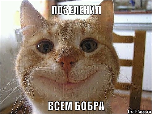 Когда вы плюсуeтe тему в платине