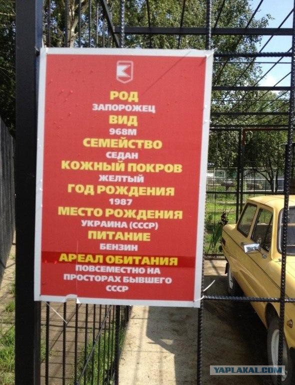 Как я покупал Запорожец