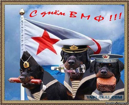 Имею честь поздравить всех причастных!