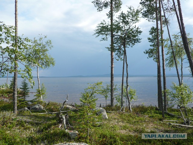Две недели на Иовском водохранилище. Соколозеро.