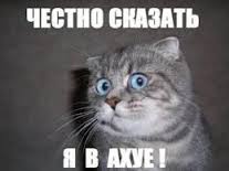 О волшебных свойствах силикона