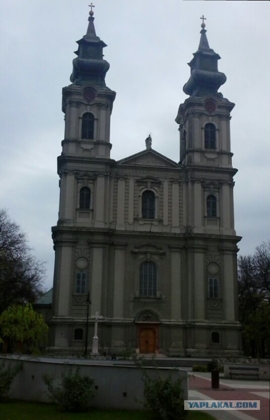 Последнее фото с Вашего телефона.