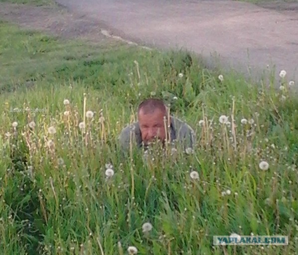 Обидчик компота