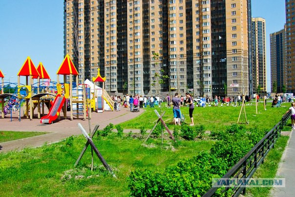 Драка девушек на Парнасе.