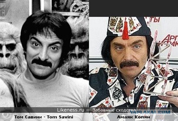 Двойники знаменитостей