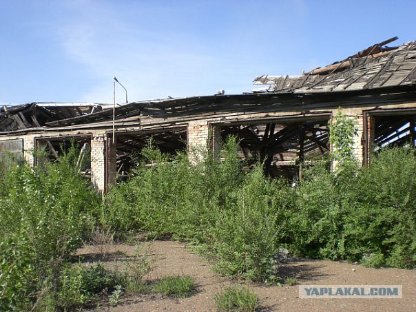 Батальон «Азов» уничтожил российский дивизион