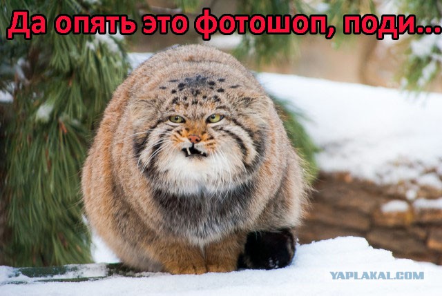 Не надуришь - не проживёшь