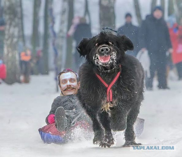Эх, прокачу!