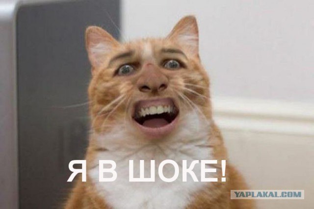 Настоящая мужская работа в России!