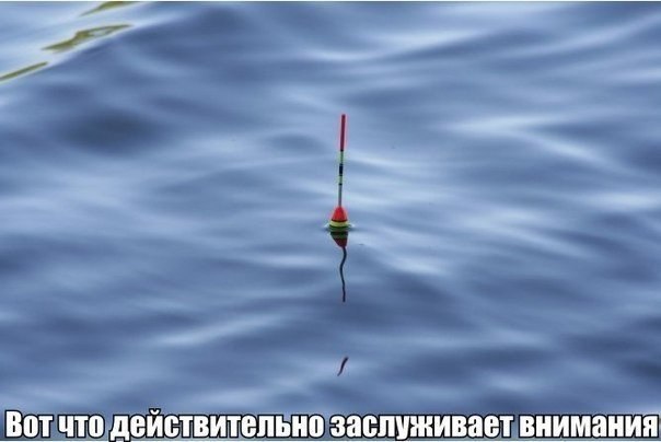 Фотки из инетов