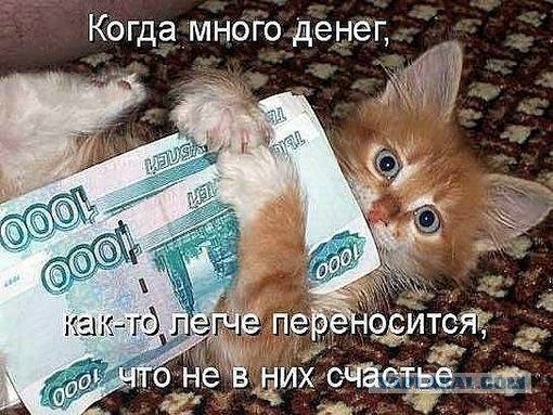 Веселое из сети