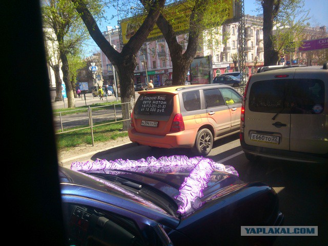 Казусы жизни