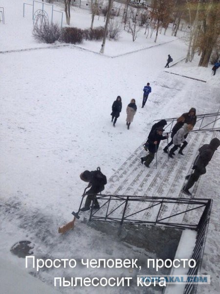 Картинки разные