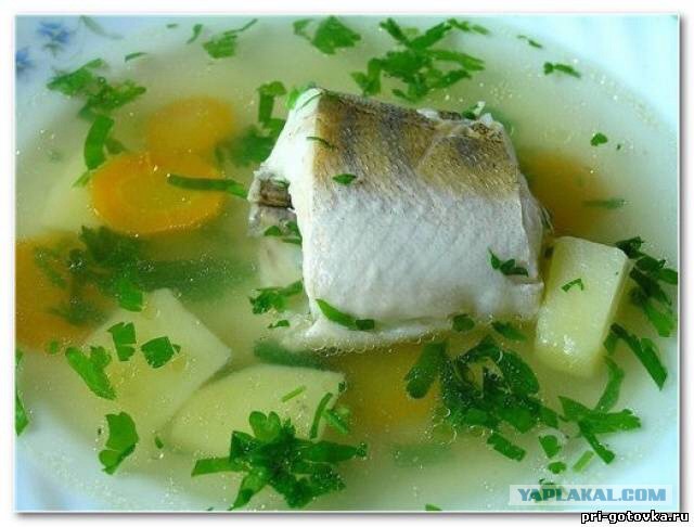 Уха и рубашки