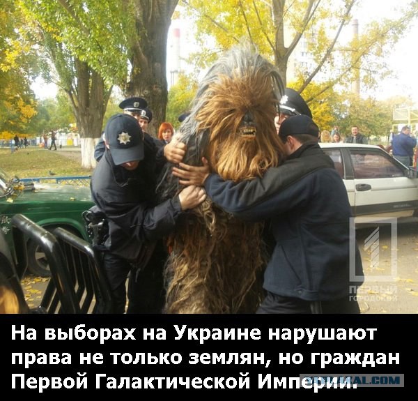 В Киеве на выборах лидирует Кличко