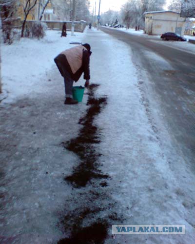 Новые трудовыебудни