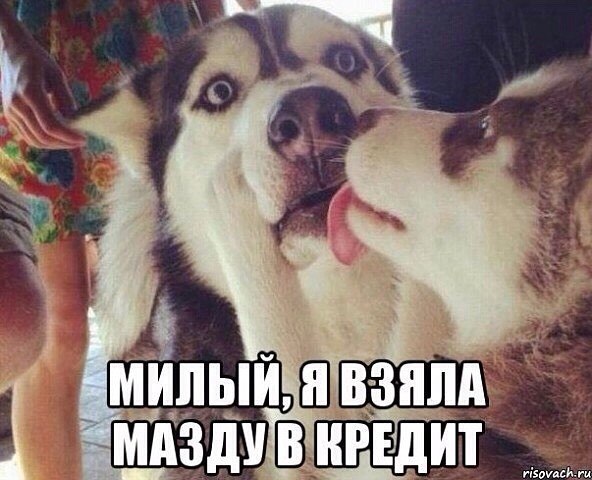 Подборка картинок