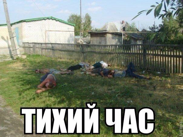 Картинки  из сети