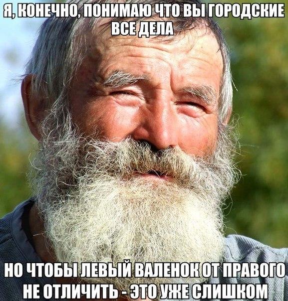 Пучок смешных картинок