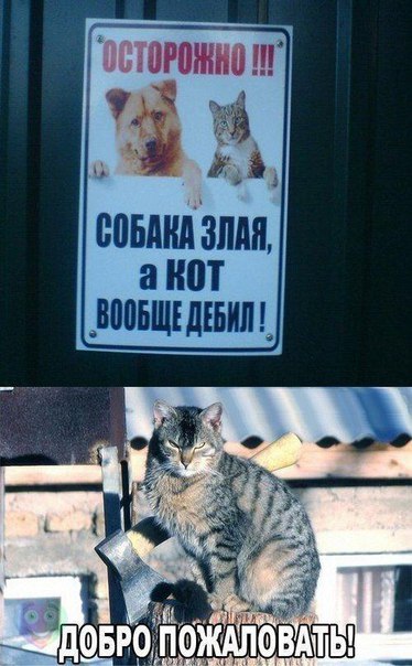 Подборка прикольных картинок