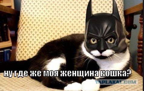 Мяукает и пьет из миски: 20-летняя девушка стала кошкой
