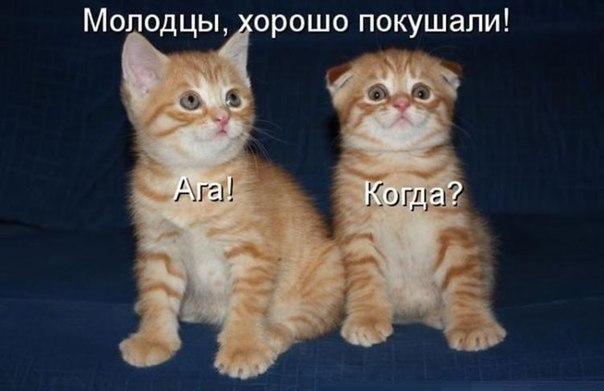Злые шутки или минутка сарказма на ЯП-е, 16+