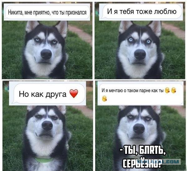 Картинки из ваших этих итернетов...