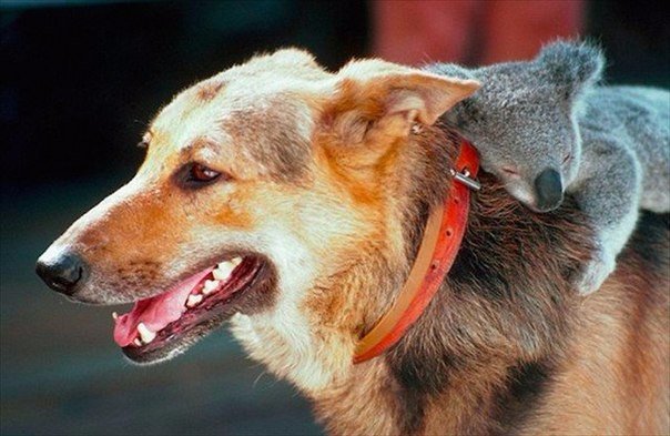 Подборка картинок на среду