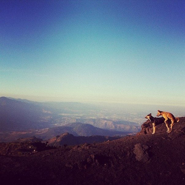 Подборка идиотских фотографий часть 3