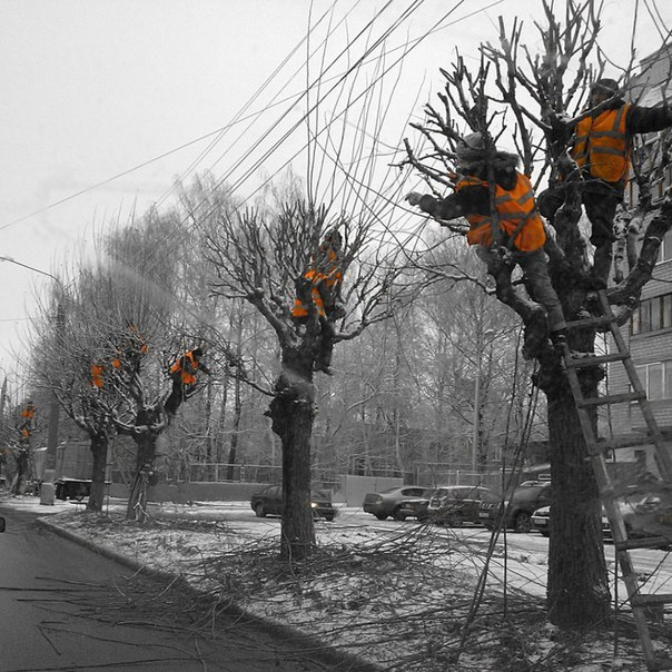 Подборка интересных и веселых картинок