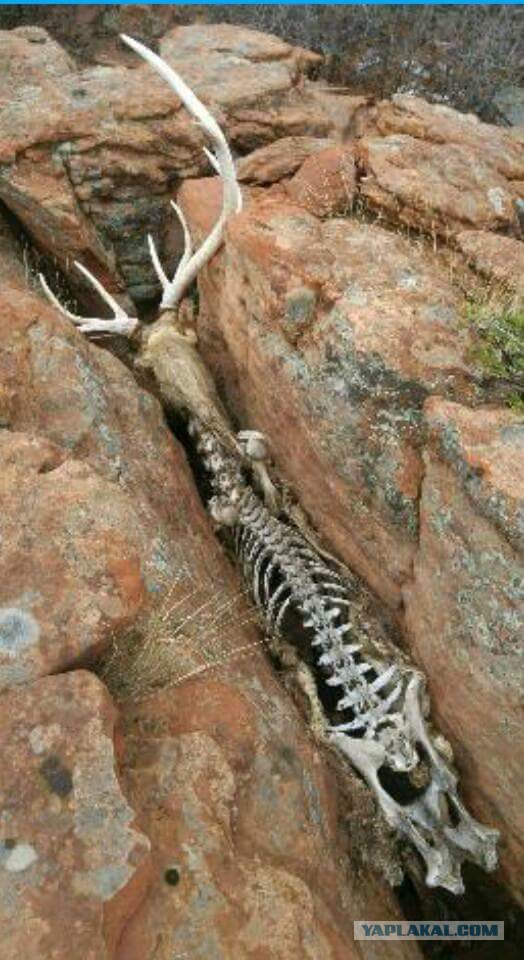 Неприятности случаются.